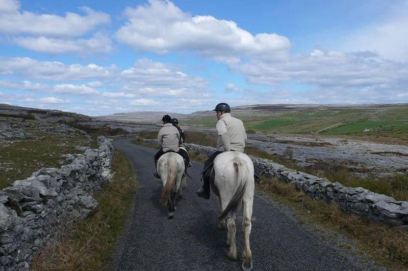Équitation - Sentier du Burren. Lisdoonvarna, Co Clare. Guidé. 3 heures.