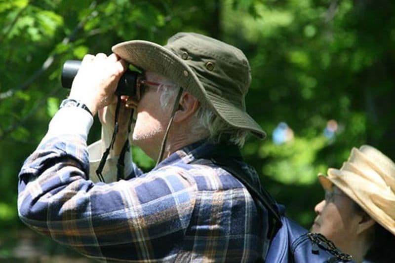 Promenade d'observation des oiseaux dans la zone humide de Thalangama au départ de Colombo