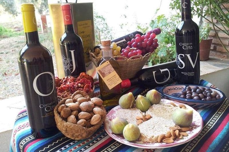 Visite des vins d'Almería, dégustation dans une cave Bio et apéritif en espagnol