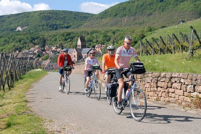 Visite privée à vélo des vignobles d'Alsace et des villages viticoles