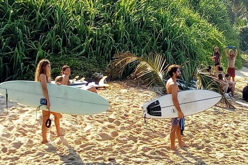 La visite des spots de surf comprend la faune et les visites