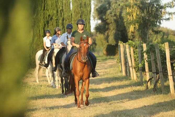 Équitation et dégustation de vin