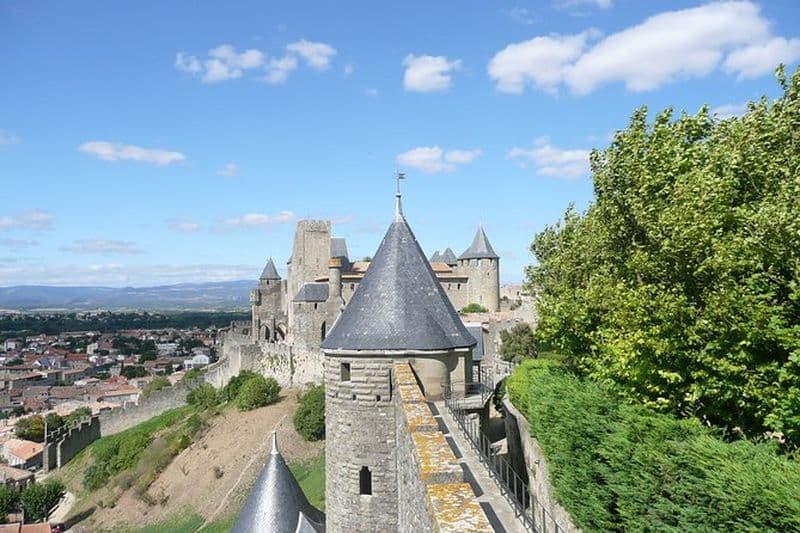 Excursion d'une journée: Cité de Carcassonne et dégustation de vins. visite privée de Carcassonne.