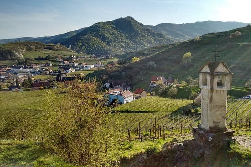 Randonnée privée de 3 heures vers des lieux historiques autour de Spitz dans la vallée de la Wachau