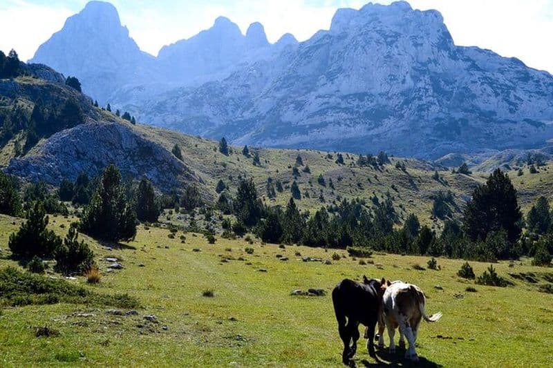 Visite privée en 4x4 en Bosnie