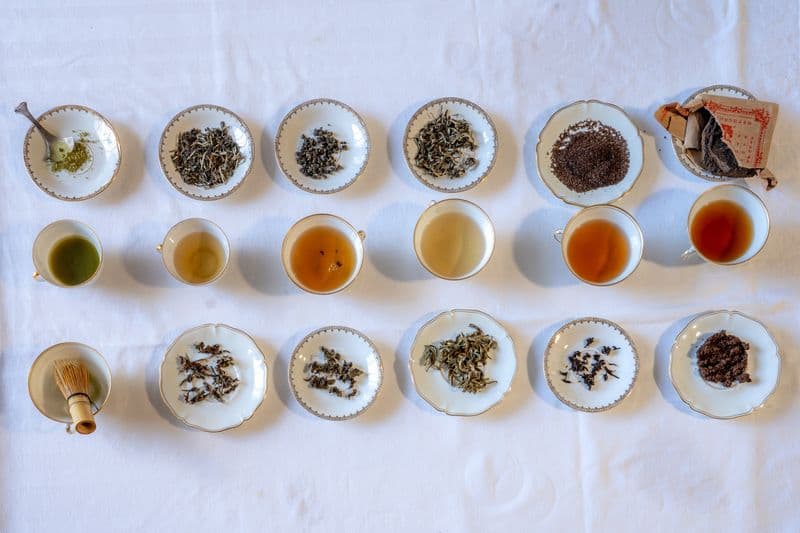 Initiez-vous à la dégustation de thé