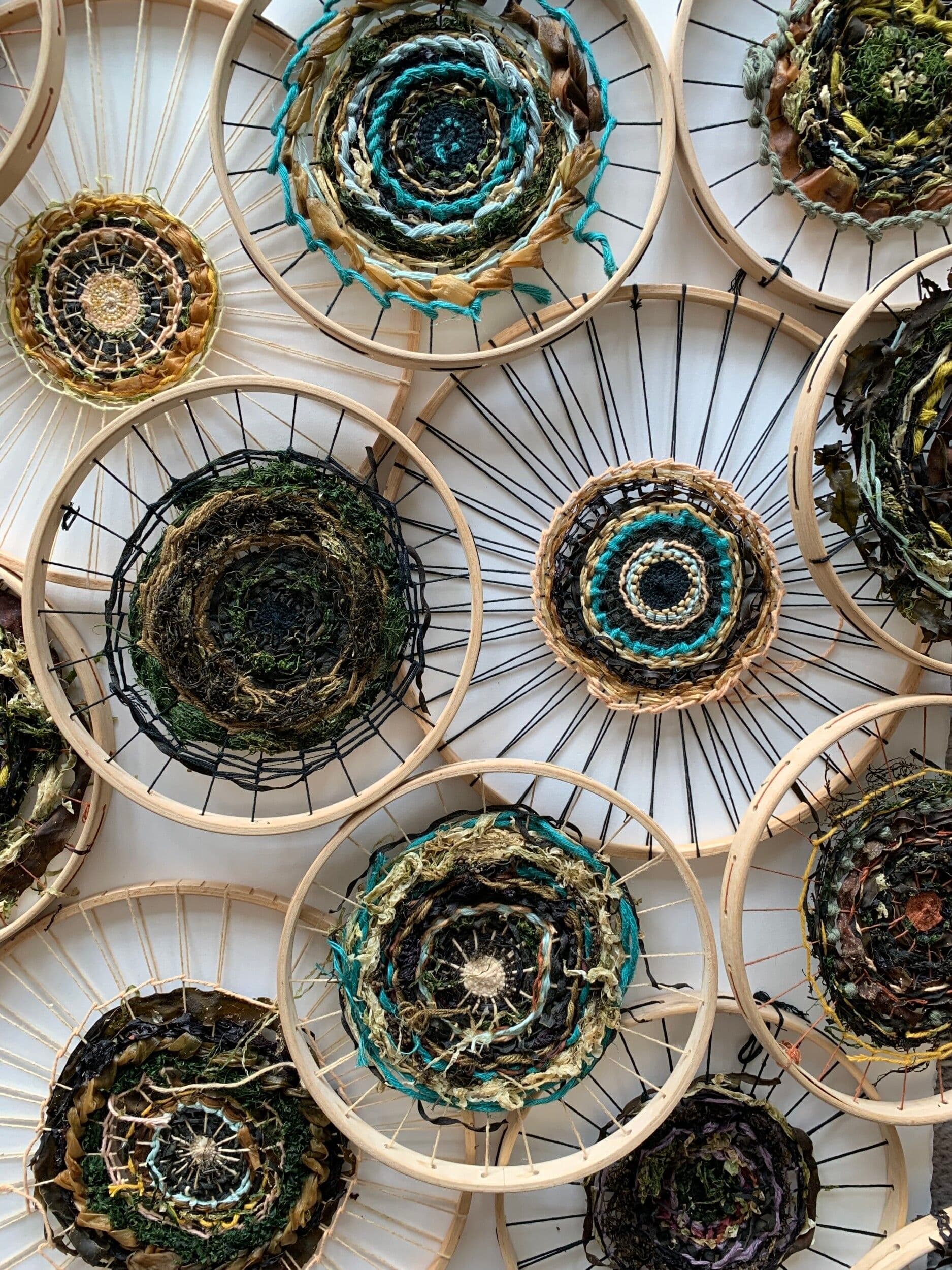 Initiez-vous au tissage d'algues