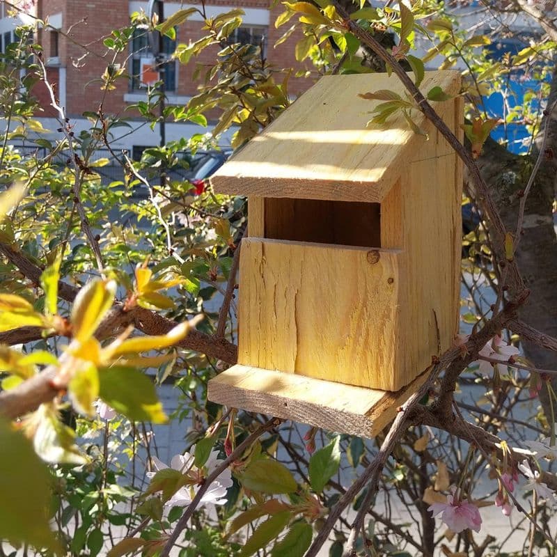 Fabriquez votre nichoir à oiseaux en famille