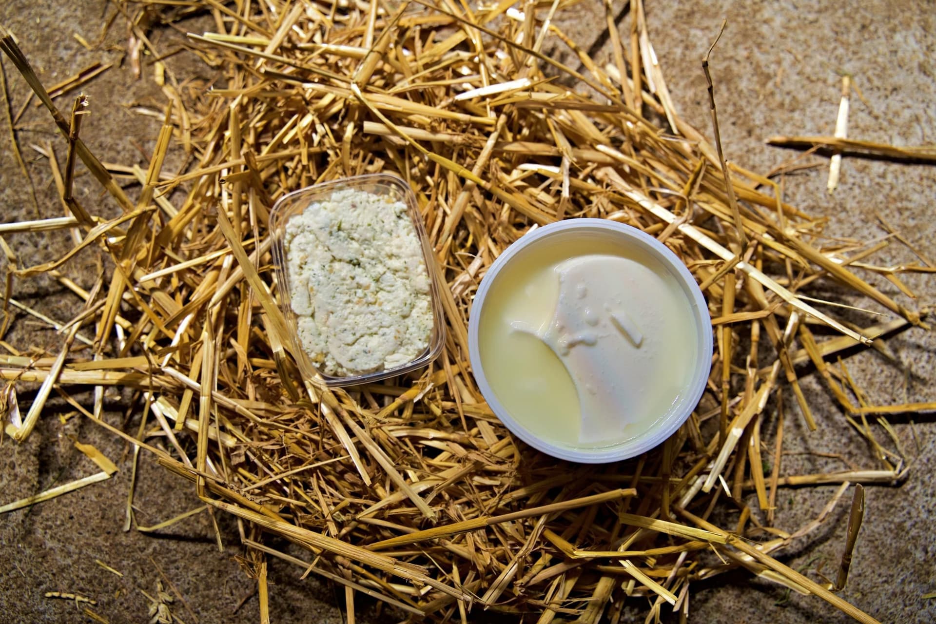 Réalisez votre fromage au sein d'une chèvrerie