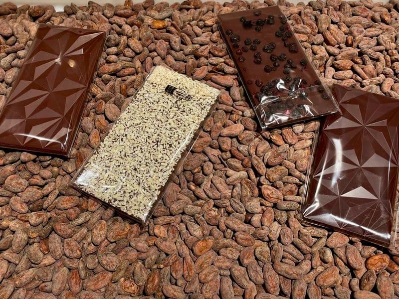 Apprenez à faire votre chocolat bean to bar