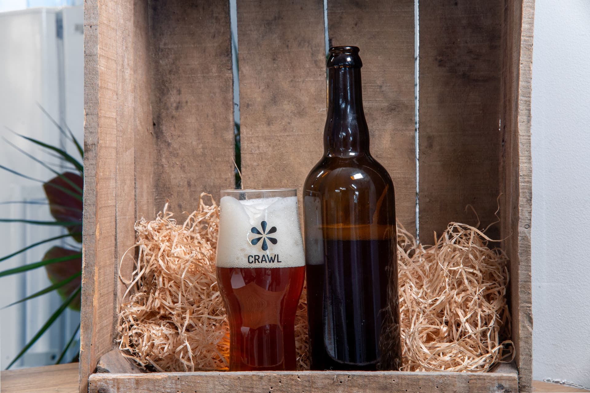 Brassez votre bière artisanale avec Vincent