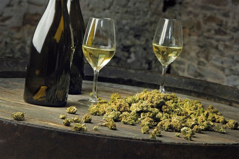 Assemblez votre vin de chanvre