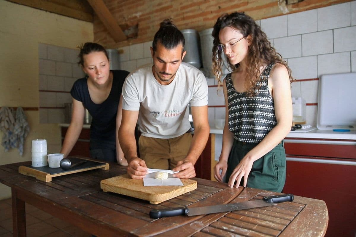 Fabriquez votre fromage fermier de brebis