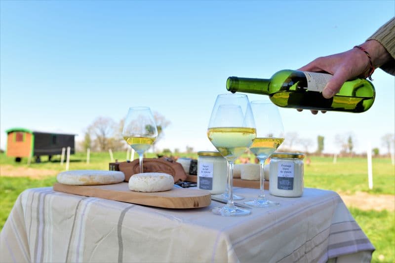 Réalisez vos fromages aromatisés en groupe