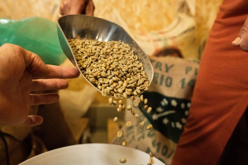 Initiez-vous à la torréfaction