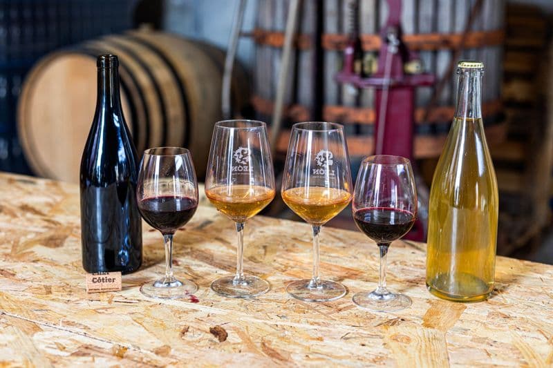 Visitez un chai urbain et dégustez des vins locaux