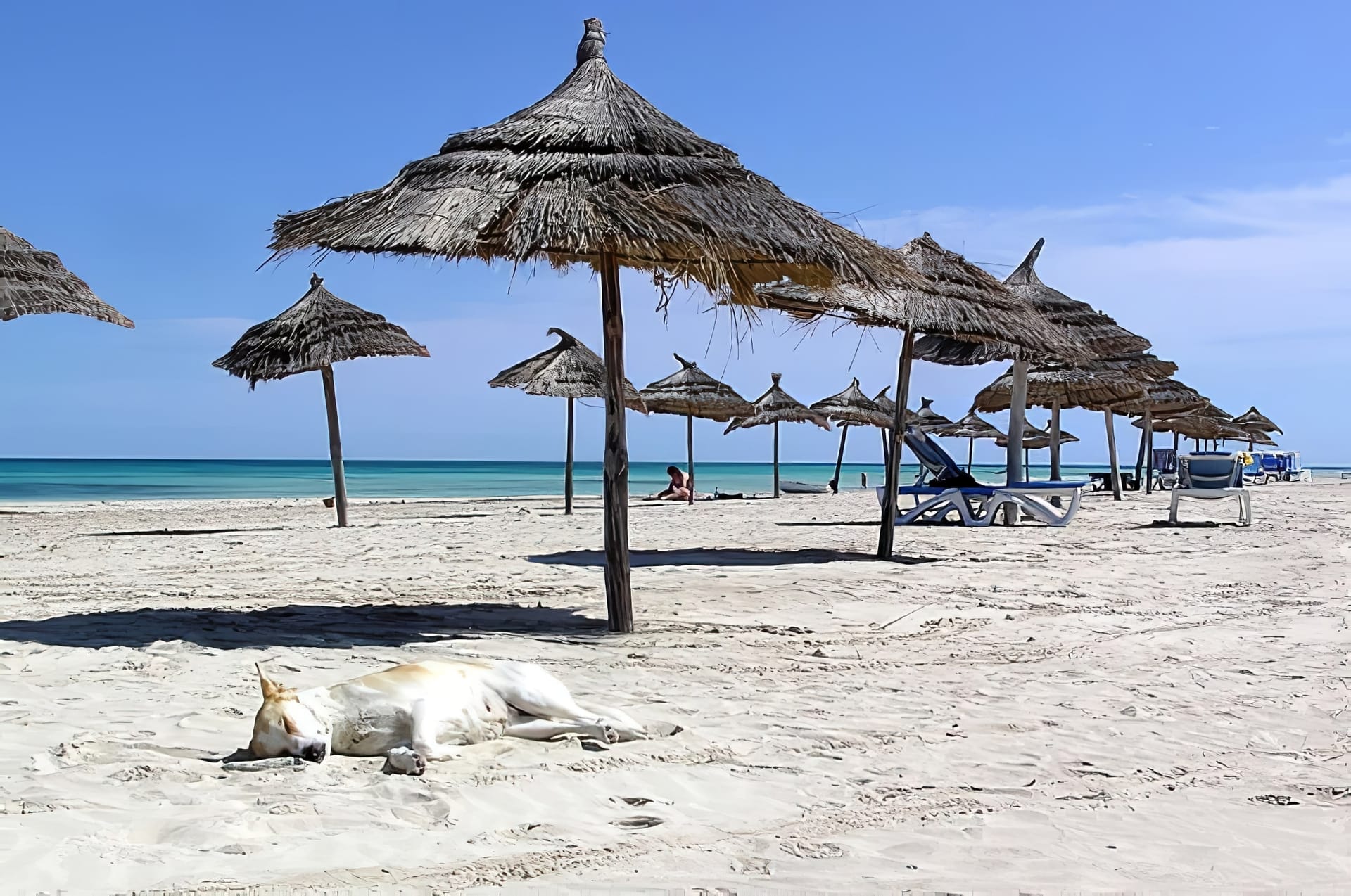 Tunisie - Attraction la plus populaire