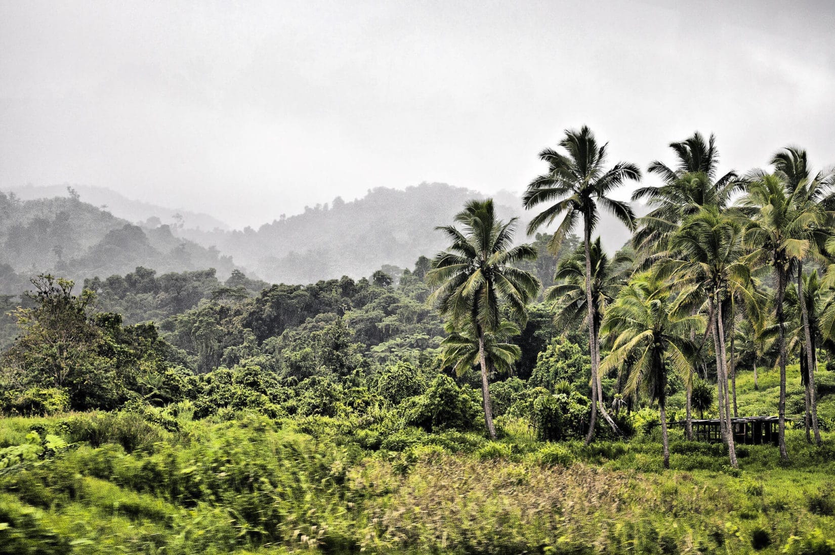 Suva - Attraction la plus populaire