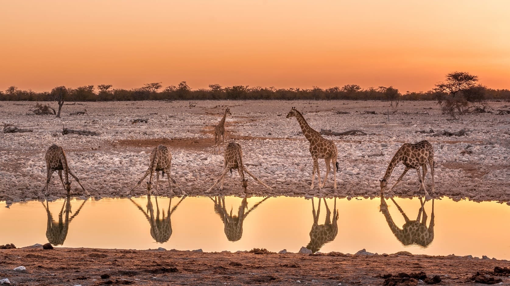 Namibie - Attraction la plus populaire