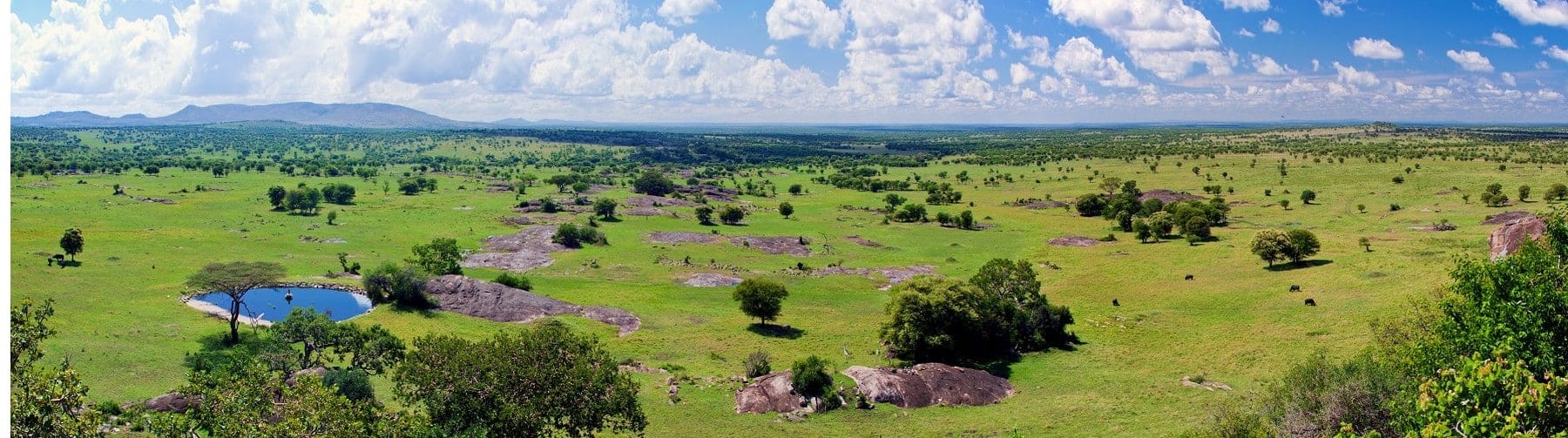 Tanzanie - Attraction la plus populaire