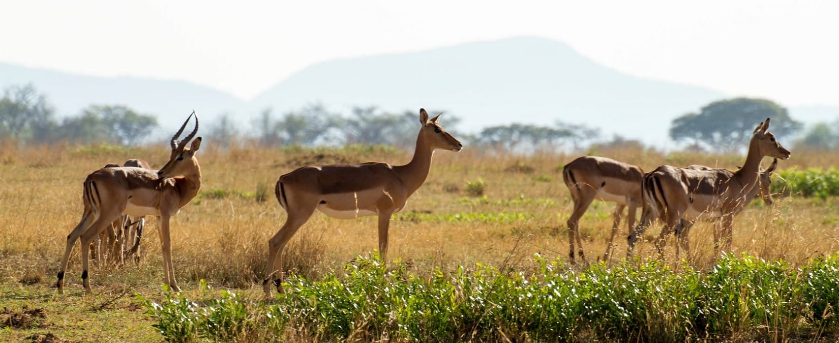 Afrique du Sud - destinations et expériences