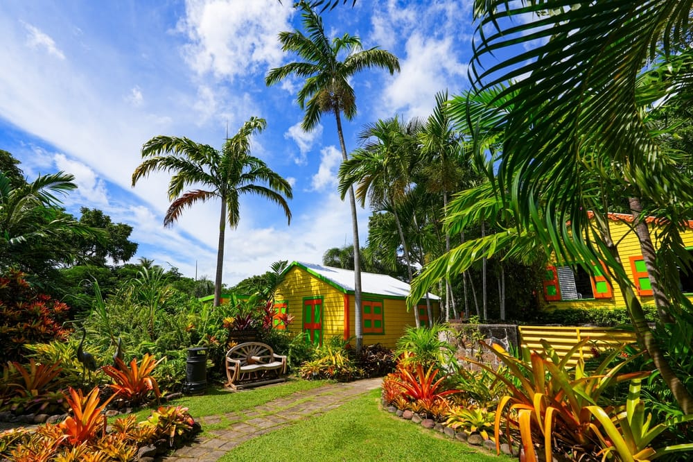 Saint-Christophe-et-Niévès - destinations et expériences