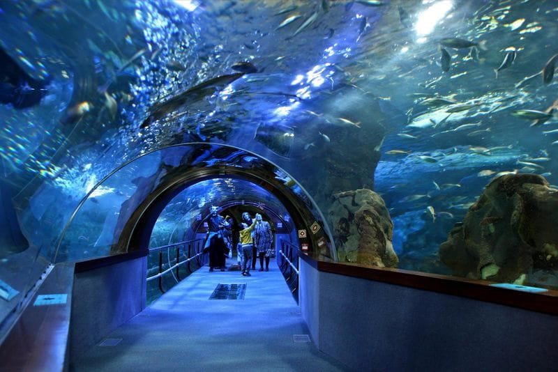 Hendaye - Attraction la plus populaire