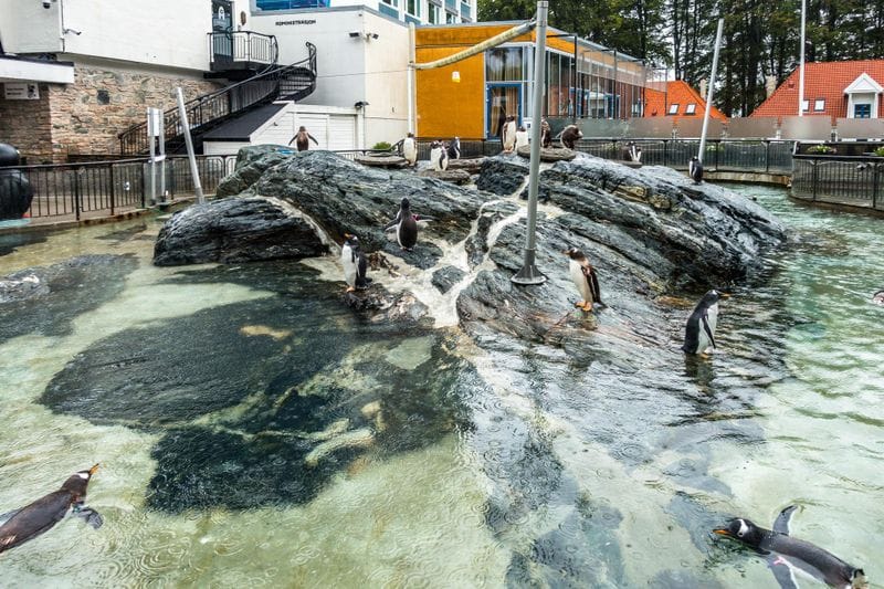 Lofoten - Attraction la plus populaire