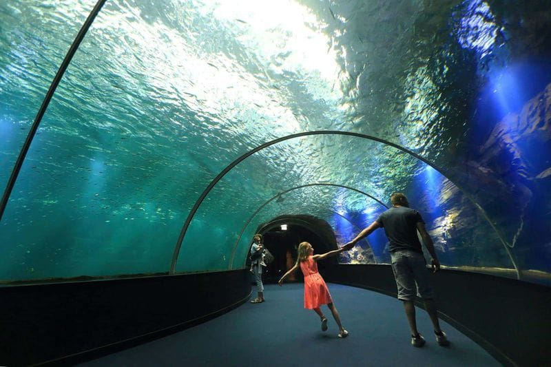 Le Touquet-Paris-Plage - Attraction la plus populaire