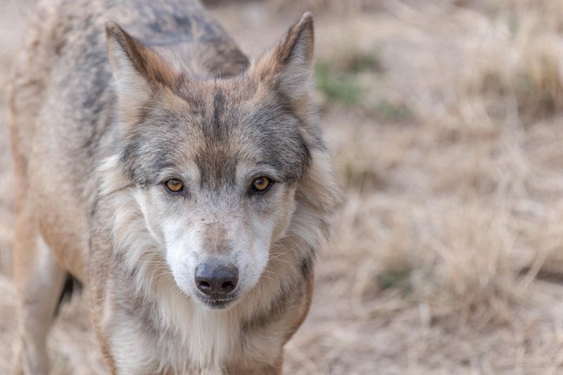 Sainte-Enimie - Attraction la plus populaire