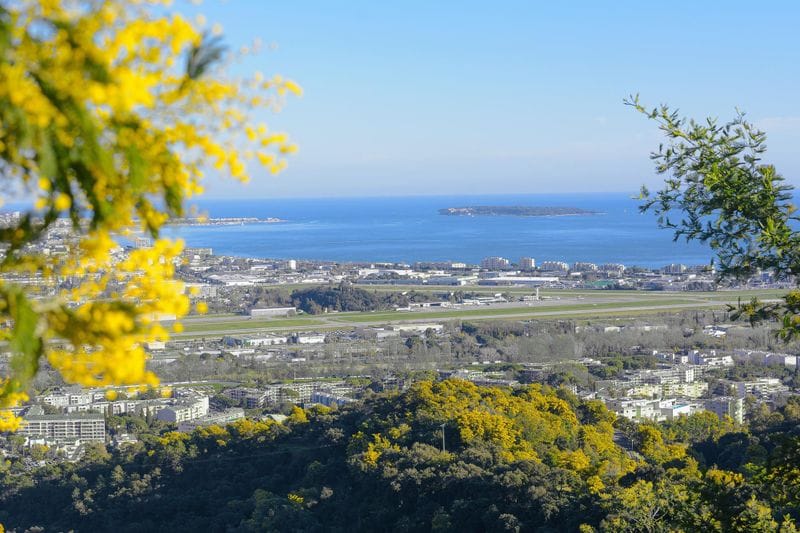 Théoule-sur-Mer - Attraction la plus populaire