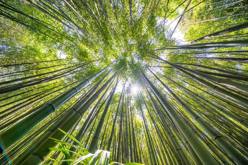 Cévennes - Attraction la plus populaire