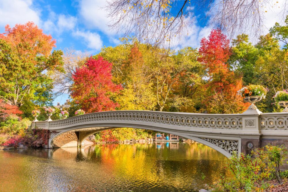 le Bow Bridge à Central Park