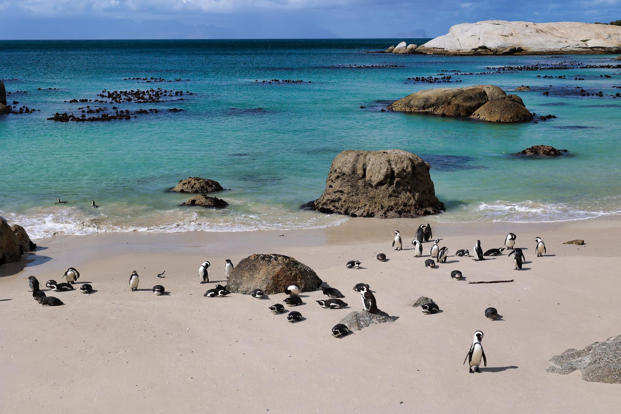 Boulders Beach