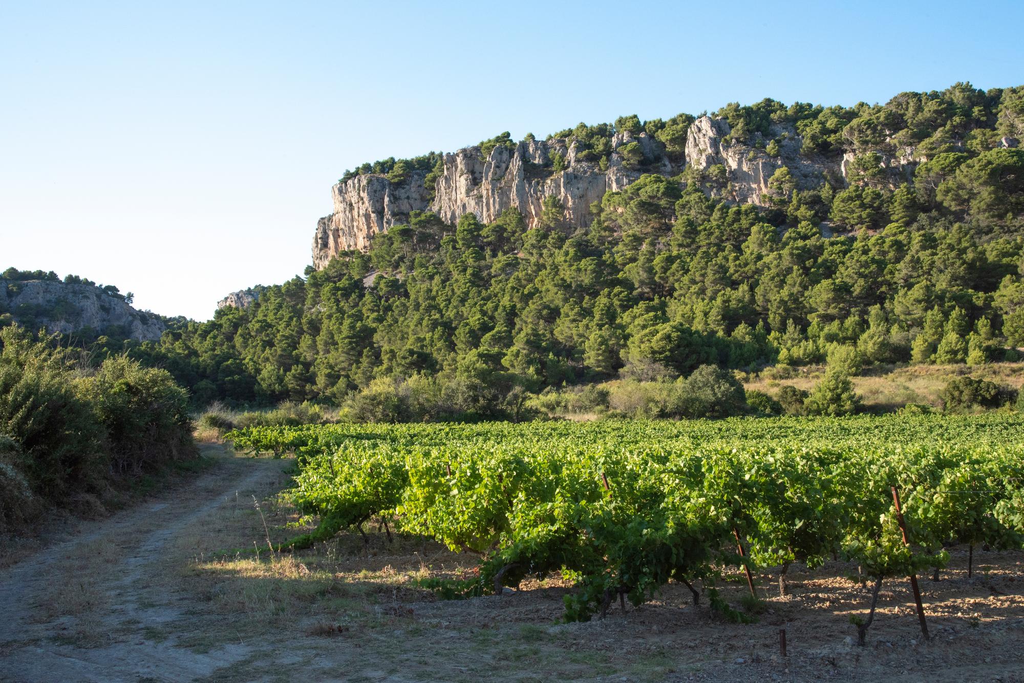 Château l&rsquo;Hospitalet