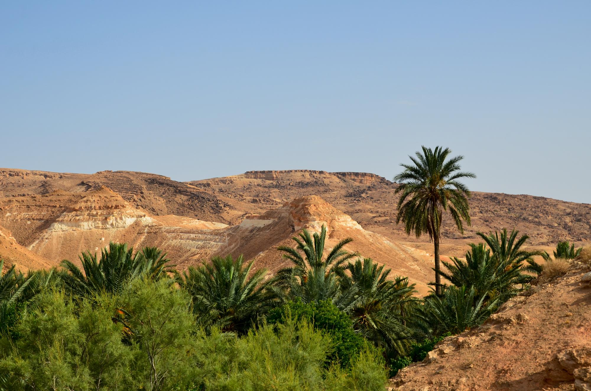 Oasis de Tamerza
