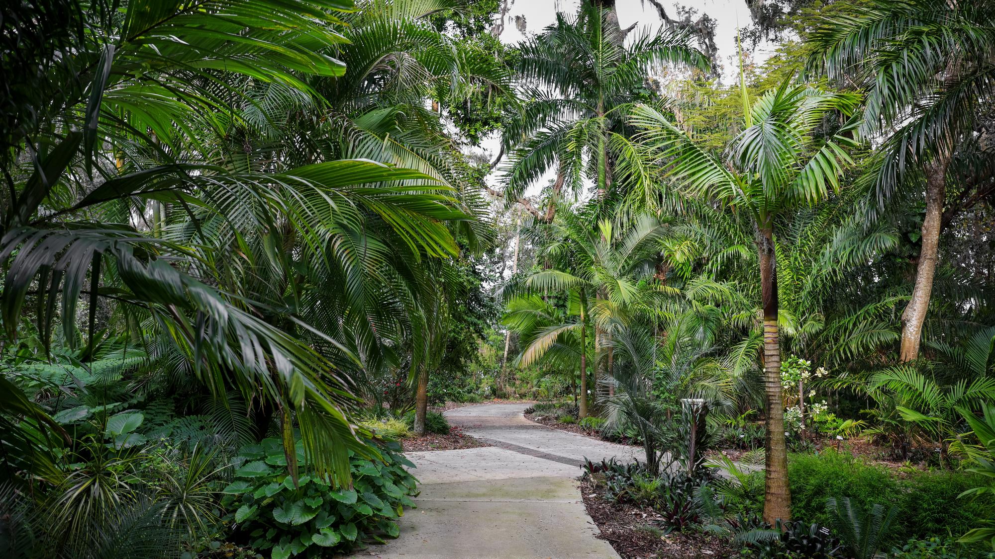 Leu Gardens