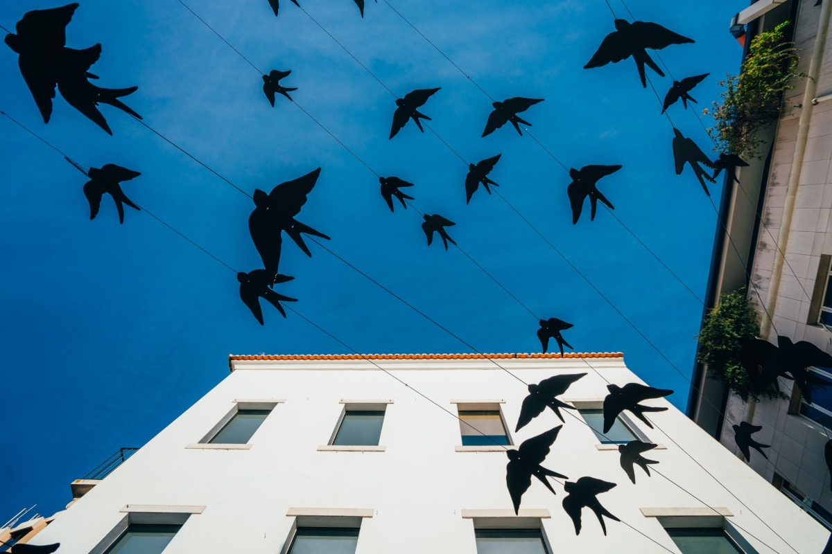 Billet Musée Bordalo Pinheiro