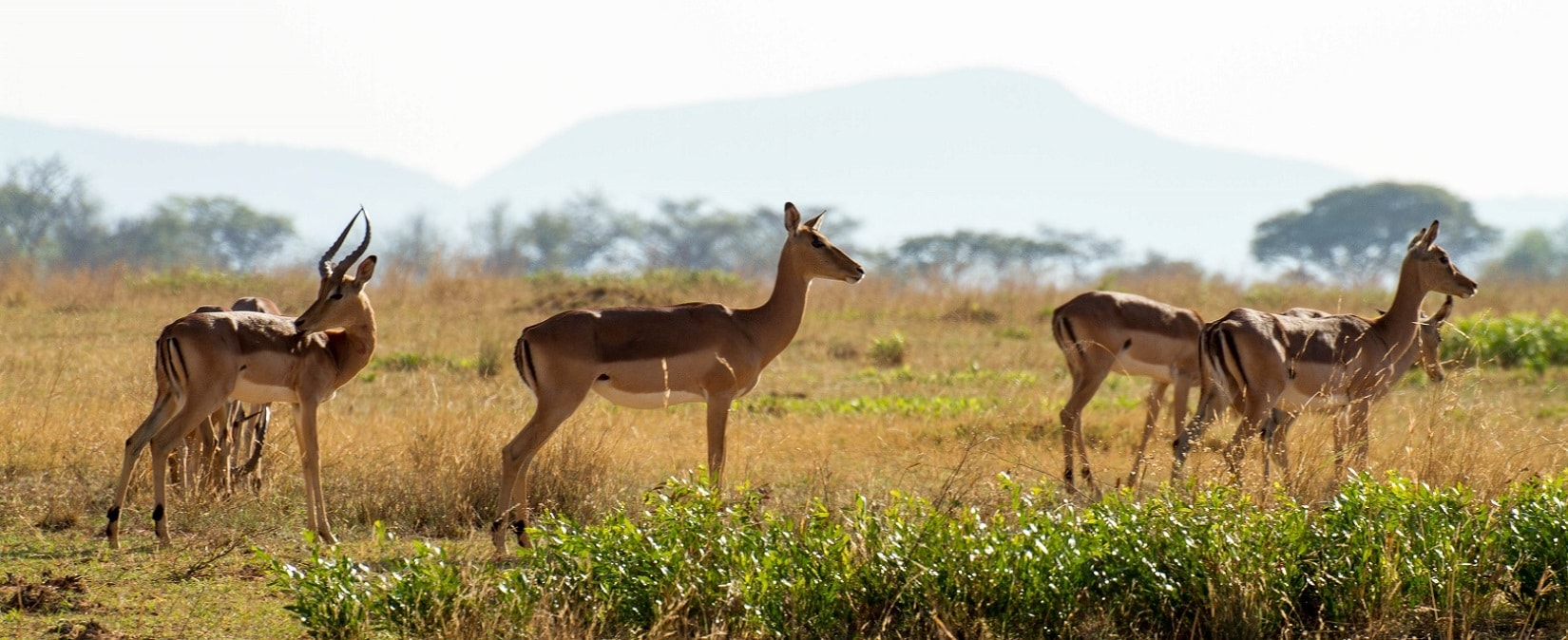 Afrique du Sud - destinations et expériences