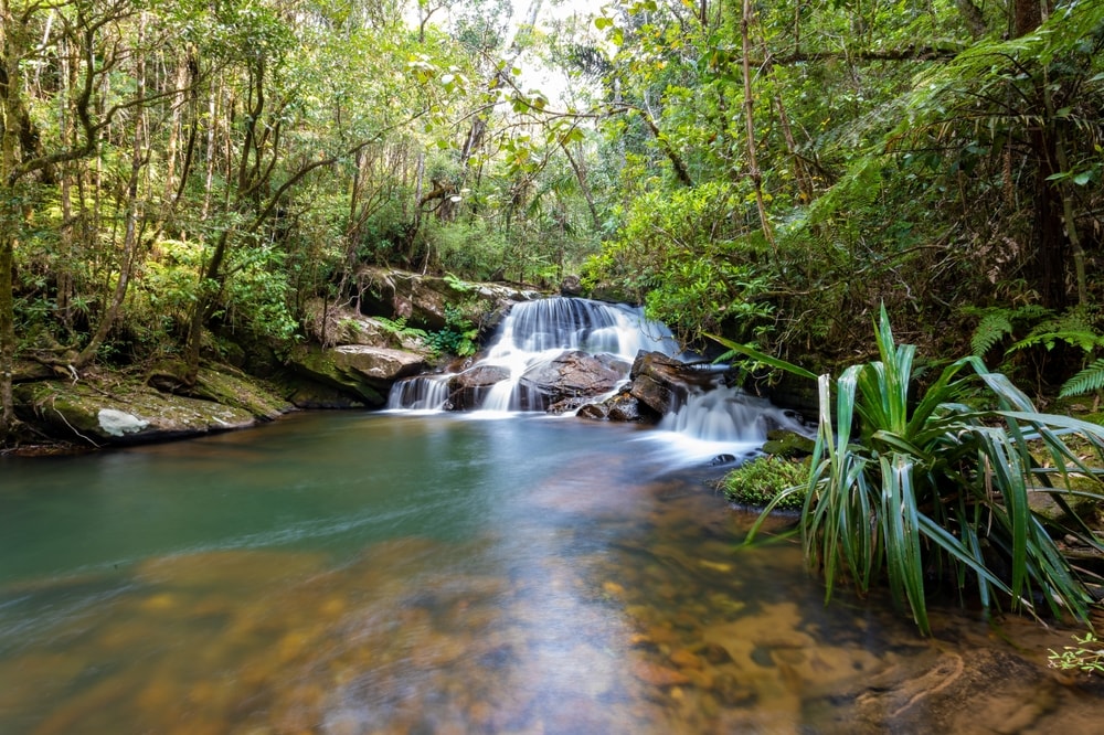 Parc national d'Andasibe-Mantadia