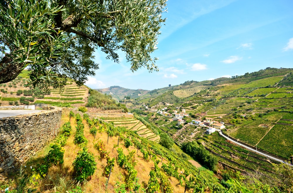 Vallée du Douro