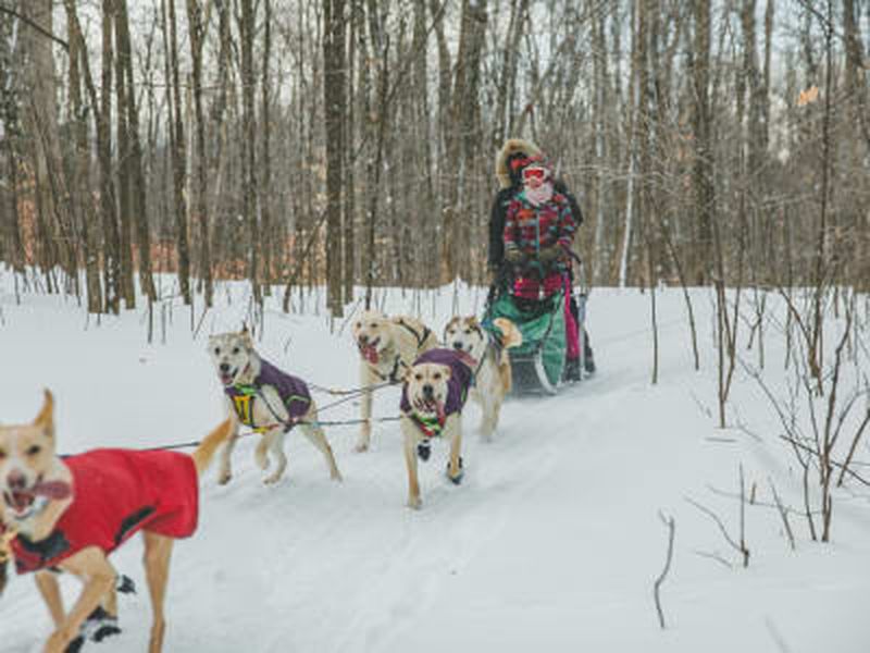 Billet Excursion en chiens de traîneau à Saint-Liguori près de Montréal