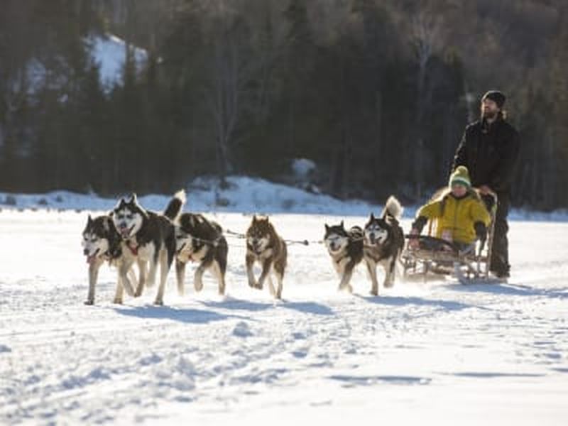 Billet Randonnée en chiens de traîneau à Saint-Hippolyte près de Montréal