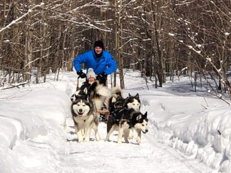 Billet Traîneau à chiens à Saint-Hippolyte avec repas québécois