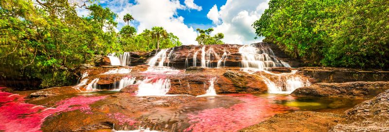 Billet Excursion à Caño Cristales