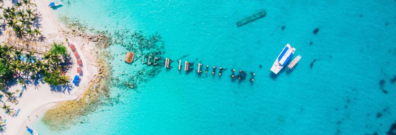 Billet Excursion sur l'île Saona + Altos de Chavón