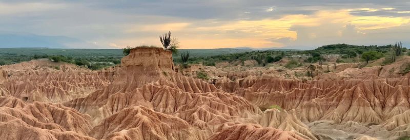 Billet Excursion dans le désert de la Tatacoa + Observation des étoiles