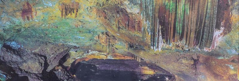 Billet Excursion aux grottes de San José