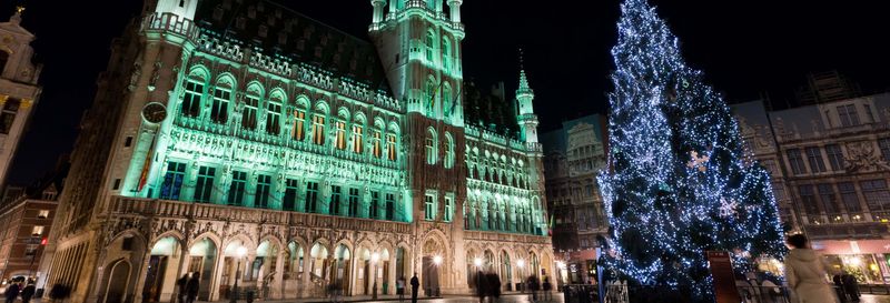 Billet Free tour dans Bruxelles à Noël