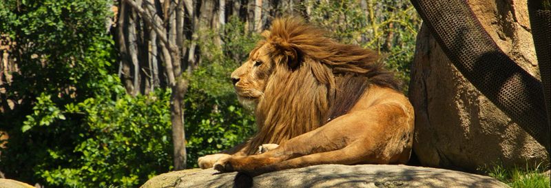 Billet Excursion à Valence + Bioparc